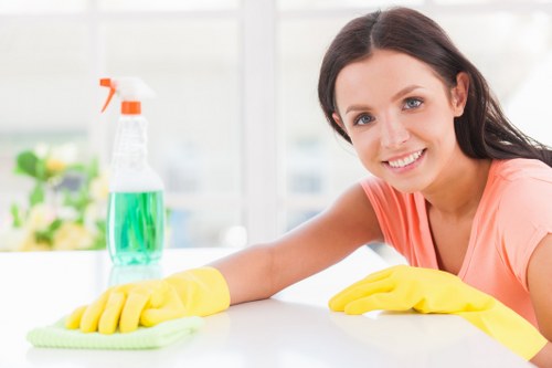 Stain removal service for carpets in Wembley