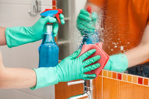 Professional pet stain odour removal in Wembley on carpet