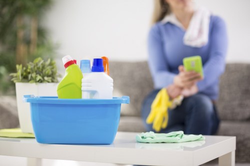 Insured Wembley carpet cleaners assessing a property before cleaning