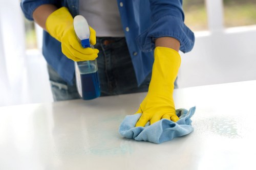 Professional upholstery cleaning and stain treatment in Wembley