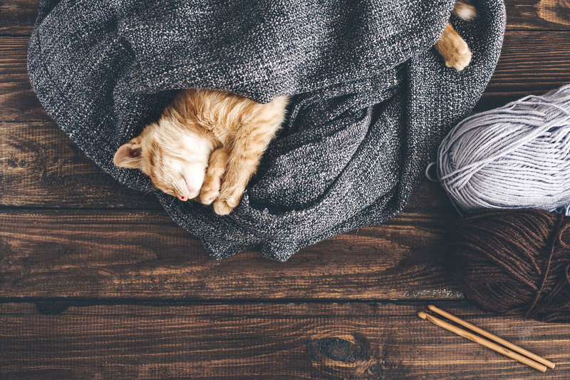 professional cleaners green cleaning